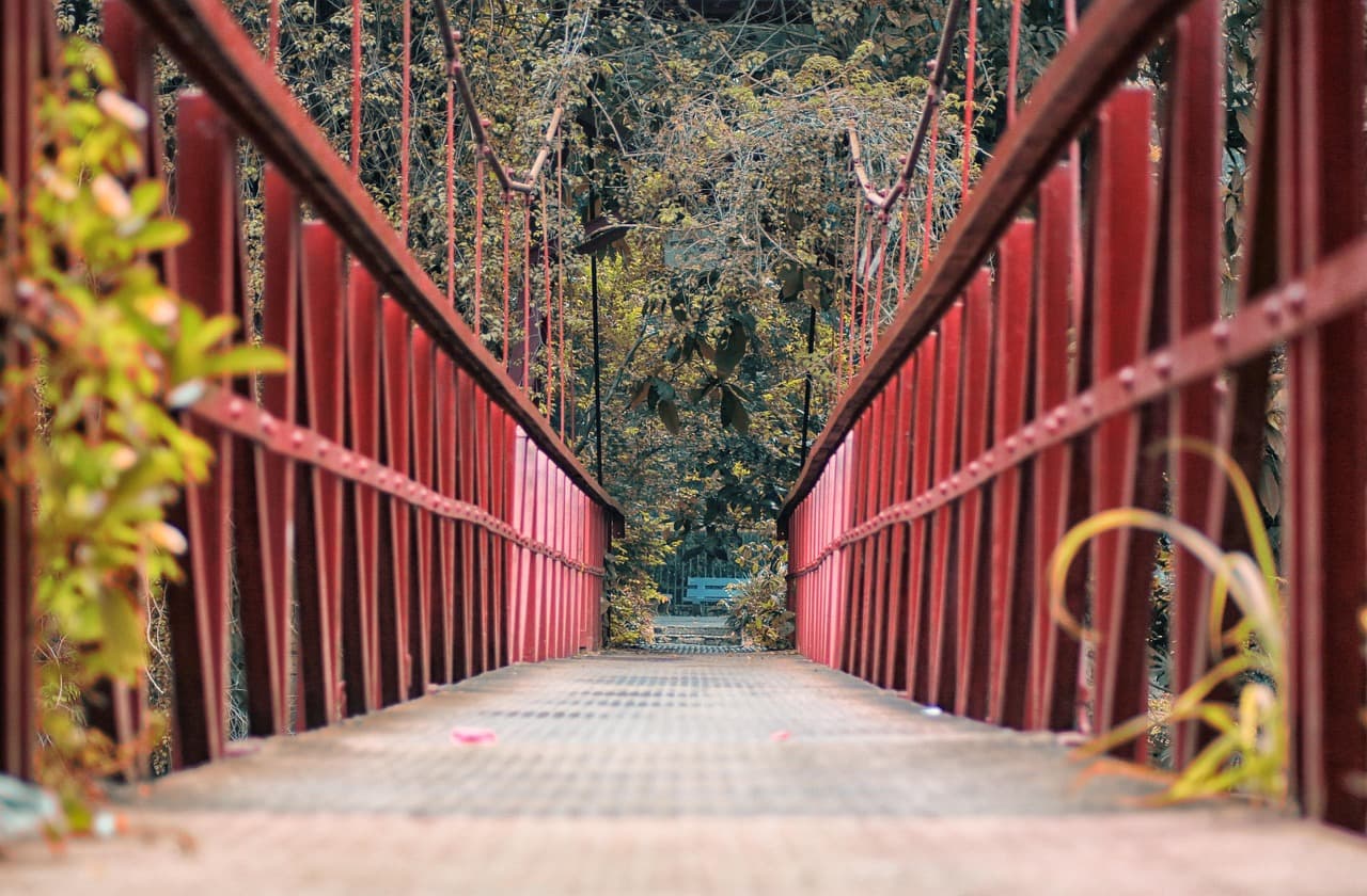 Kebun Raya Bogor — Panduan Lengkap Wisata Edukasi 2026